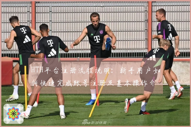 HTH平台注册流程说明：新手用户如何快速完成账号注册及基本操作介绍
