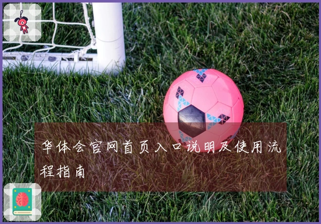 华体会官网首页入口说明及使用流程指南