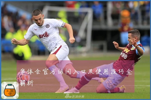 华体会官方访问入口及使用技巧全解析